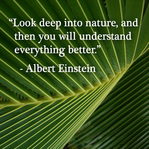 %_tempFileNameAlbert-Einstein1%