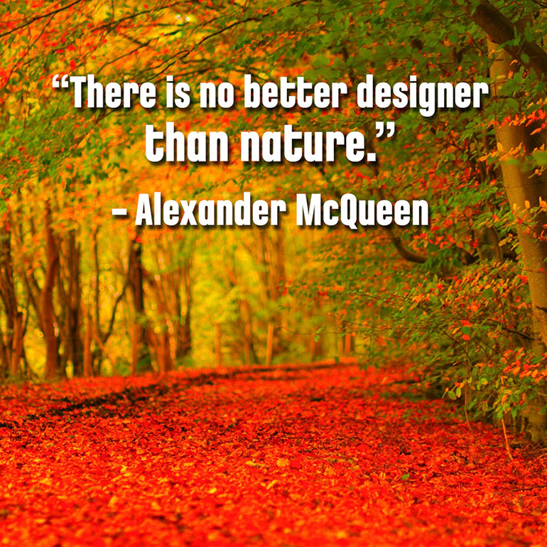 %_tempFileNameAlexander-Mcqueen1_square%