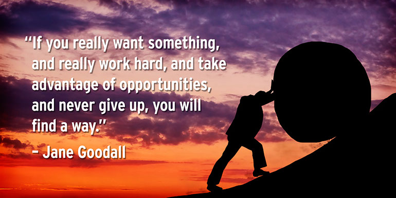 %_tempFileNameJane%20Godall1%20wide%