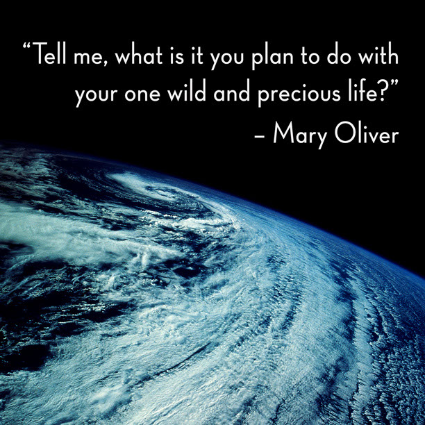 %_tempFileNameMary-Oliver2%