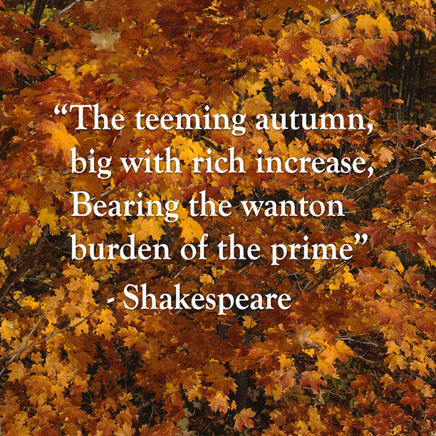 %_tempFileNameShakespeare1%