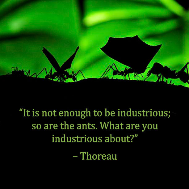 %_tempFileNameThoreau2_Jan014%