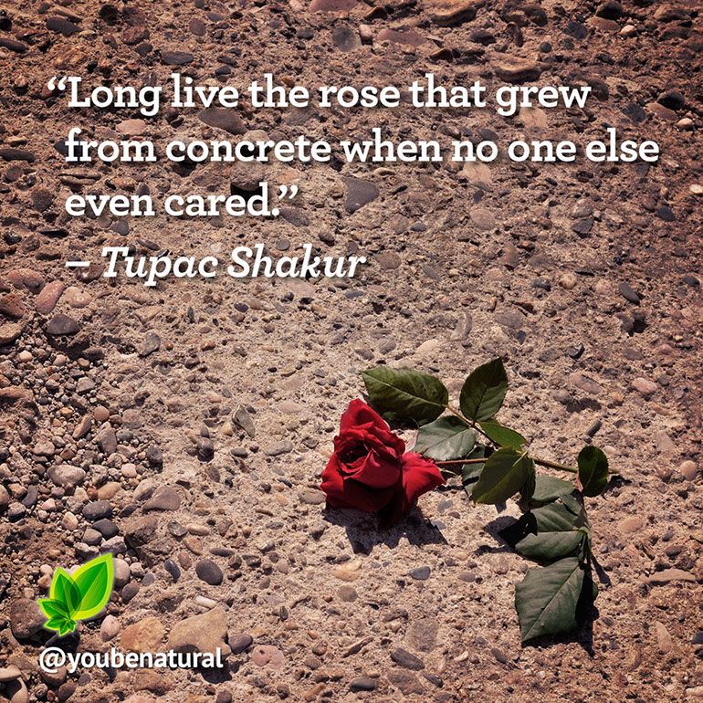 %_tempFileNameTupac-Shakur1%