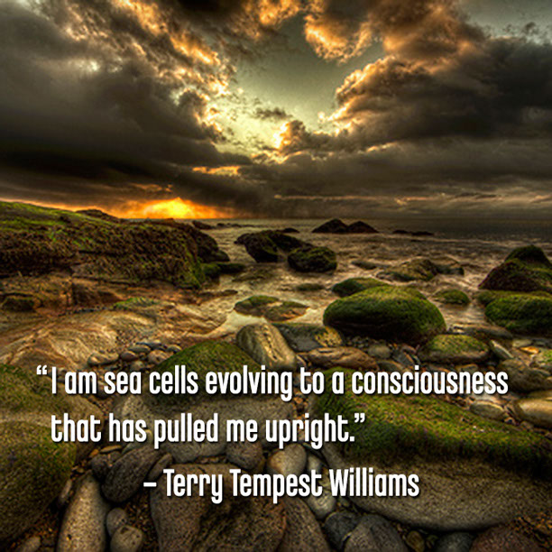 %_tempFileNameWilliams_Jan014%