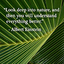 %_tempFileNameAlbert-Einstein1%