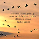 %_tempFileNameCarson2_Jan014%