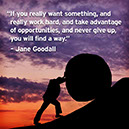 %_tempFileNameJane-Godall1-sqasre%