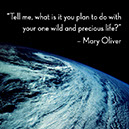 %_tempFileNameMary-Oliver2%