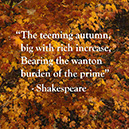 %_tempFileNameShakespeare1%