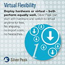 %_tempFileNameSilver-Peak-Instagram-1D%