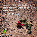 %_tempFileNameTupac-Shakur1%