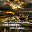 %_tempFileNameWilliams_Jan014%